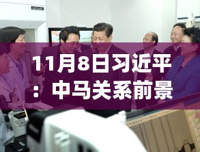 11月8日習(xí)近平：中馬關(guān)系前景光明 未來(lái)可期，11月8日習(xí)近平主席談中馬關(guān)系，未來(lái)光明，前景可期