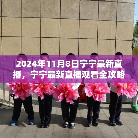 寧寧直播指南，2024年11月8日直播觀看全攻略與入門指南