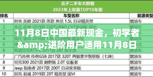 初學(xué)者與進(jìn)階用戶指南，11月8日中國最新現(xiàn)金操作指南及任務(wù)完成步驟詳解