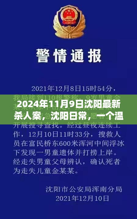 沈陽(yáng)殺人案背后的友情與陪伴故事，日常溫馨背后的真相（2024年）