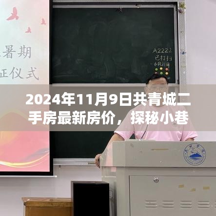 2024年共青城二手房最新房價(jià)揭秘，小巷特色小店探秘