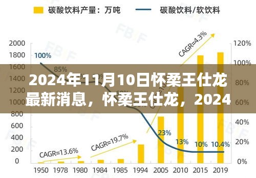 懷柔王仕龍最新動(dòng)態(tài)與深遠(yuǎn)影響力揭曉，2024年11月10日更新