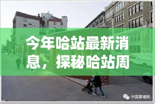 哈站周邊小巷隱藏一家特色小店，獨特環(huán)境驚艷亮相，等你來探秘！