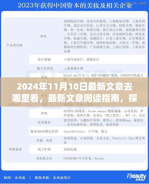 探尋最新文章閱讀指南，揭秘2024年11月10日的精彩內(nèi)容