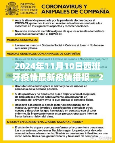 西班牙疫情最新播報解讀指南，2024年11月10日最新播報與解讀