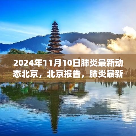 北京肺炎最新動(dòng)態(tài)深度觀察，報(bào)告與影響，2024年11月10日最新進(jìn)展