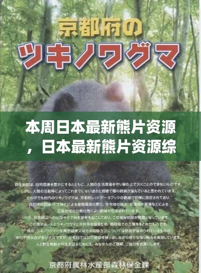 日本最新熊片資源綜述，背景、進(jìn)展與特定領(lǐng)域地位探討