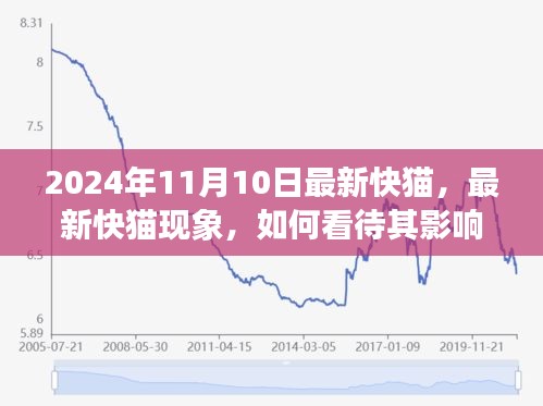 最新快貓現(xiàn)象，影響與未來(lái)發(fā)展觀察（2024年觀察點(diǎn)）