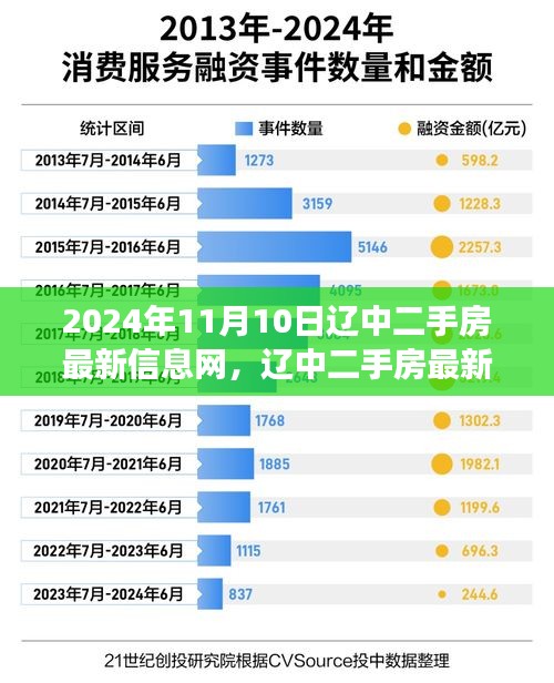 2024年11月10日遼中二手房市場最新動態(tài)，樓市變遷與影響深度解析