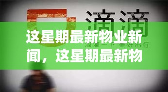 最新物業(yè)新聞一周概覽，全面解讀物業(yè)領(lǐng)域最新動(dòng)態(tài)