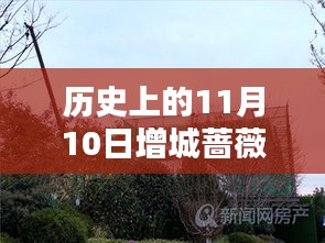 歷史上的11月10日增城薔薇國(guó)際房?jī)r(jià)揭秘，最新價(jià)格一覽表！