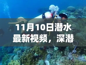 揭秘深潛新紀(jì)元，潛水最新視頻的時(shí)代意義與影響（11月10日更新）