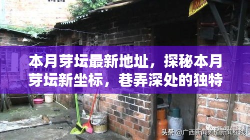 探秘本月芽壇新坐標(biāo)，巷弄深處的獨(dú)特小店最新地址揭秘