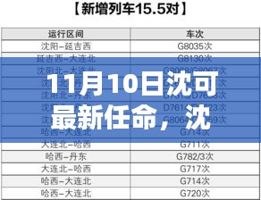 沈可新任命的背后，背景、影響與時(shí)代地位分析（最新更新）