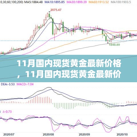 11月國內(nèi)現(xiàn)貨黃金最新價(jià)格深度解析與全面評測報(bào)告