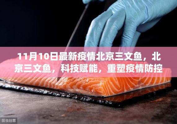 北京三文魚疫情防控新篇章，科技賦能重塑防線與前沿體驗(yàn)解讀