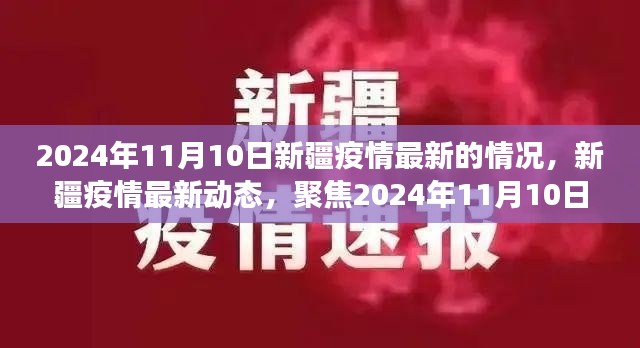 2024年11月10日新疆疫情最新進(jìn)展與動態(tài)