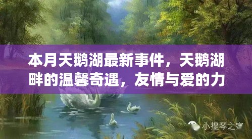 本月天鵝湖畔的溫馨奇遇，友情與愛的力量的展現(xiàn)