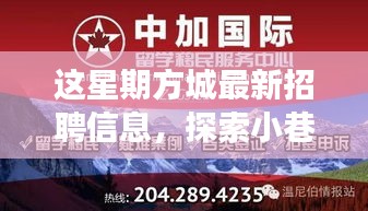 方城最新招聘信息揭秘，小巷秘境與獨(dú)特小店之旅