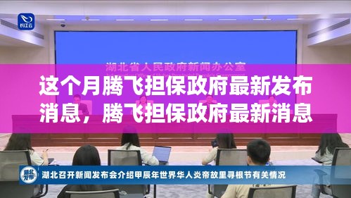 騰飛擔(dān)保政府最新消息解讀與操作指南，初學(xué)者與進(jìn)階用戶必讀指南