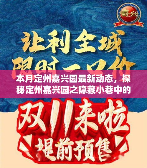 本月定州嘉興園最新動態(tài)，探秘隱藏小巷的獨特風味——新鮮打卡指南