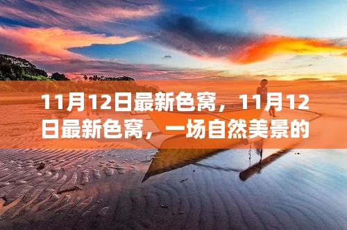 11月12日最新色窩探秘之旅，自然美景中尋找內(nèi)心平和與寧靜