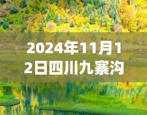 2024年11月12日四川九寨溝最新情況，自然恢復(fù)與旅游新篇章開啟