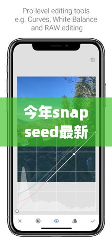 Snapseed最新版下載，回顧發(fā)展歷程，時(shí)代印記下的影響與地位