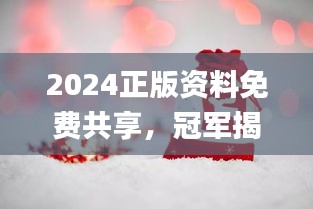 2024正版資料免費共享，冠軍揭曉預告_E VH233.8預備版