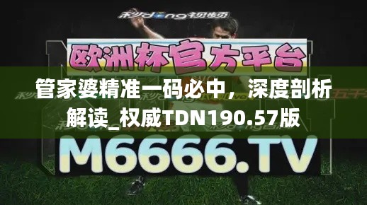 管家婆精準一碼必中，深度剖析解讀_權(quán)威TDN190.57版