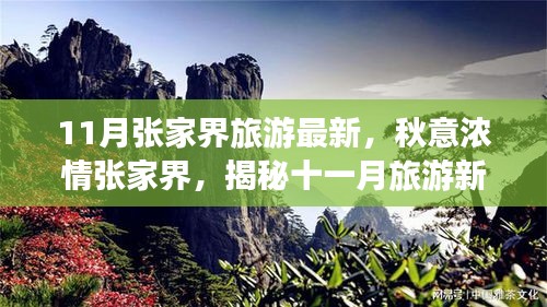 揭秘十一月張家界秋意濃情，最新旅游指南開啟新篇章