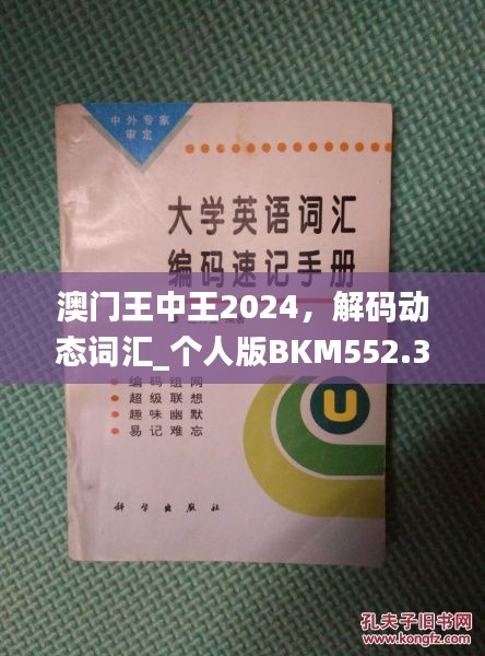 澳門王中王2024，解碼動態(tài)詞匯_個人版BKM552.33指南