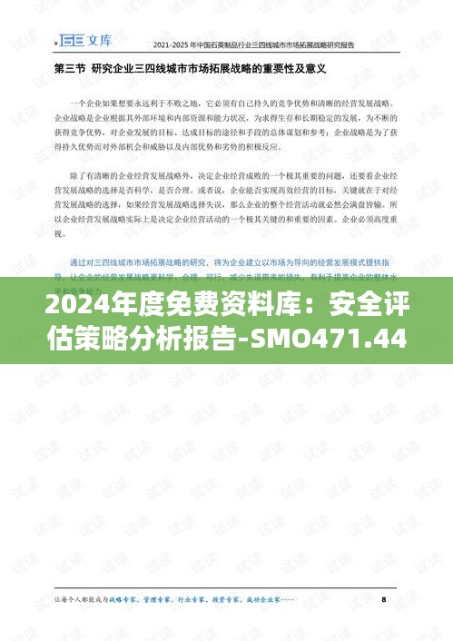 2024年度免費(fèi)資料庫：安全評估策略分析報(bào)告-SMO471.44版