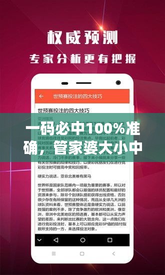 一碼必中100%準(zhǔn)確，管家婆大小中特解析，戶外版ZNA113.77深度剖析