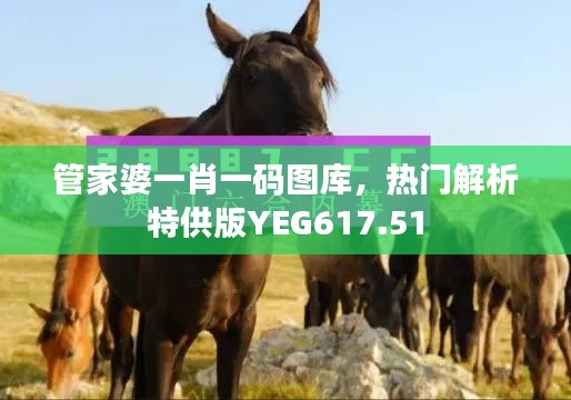 管家婆一肖一碼圖庫，熱門解析特供版YEG617.51