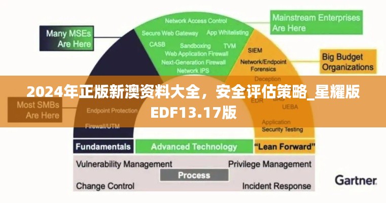 2024年正版新澳資料大全，安全評估策略_星耀版EDF13.17版