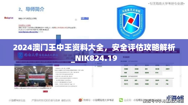 2024澳門王中王資料大全，安全評(píng)估攻略解析_NIK824.19