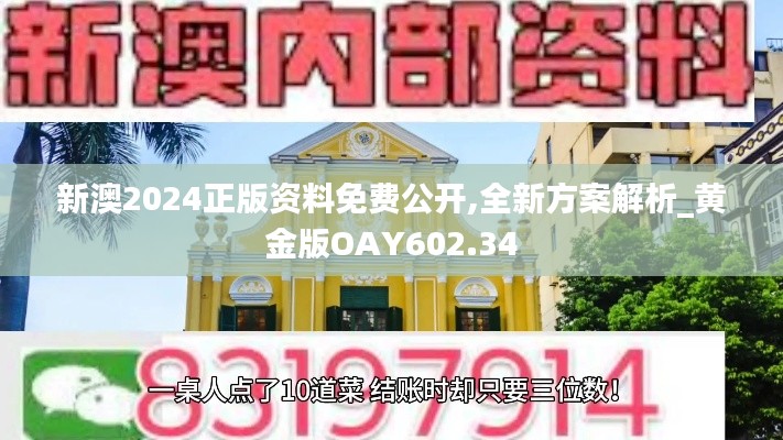 新澳2024正版資料免費(fèi)公開(kāi),全新方案解析_黃金版OAY602.34