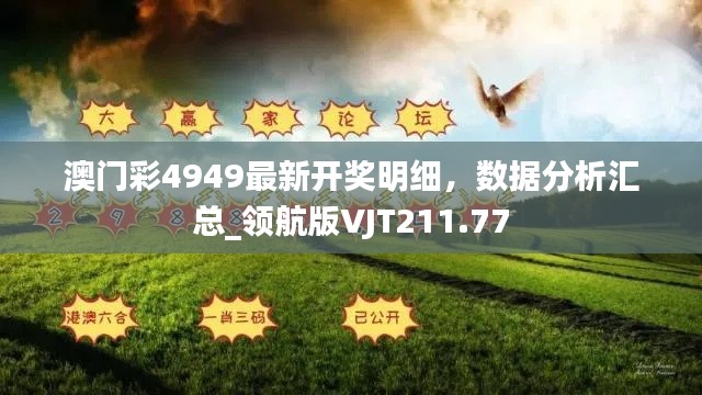 澳門彩4949最新開獎(jiǎng)明細(xì)，數(shù)據(jù)分析匯總_領(lǐng)航版VJT211.77