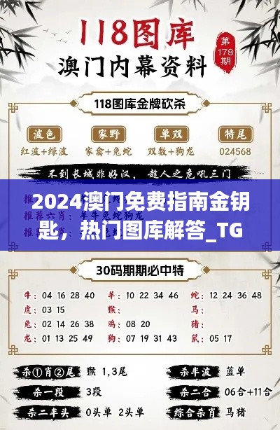 2024澳門(mén)免費(fèi)指南金鑰匙，熱門(mén)圖庫(kù)解答_TGV731.28原創(chuàng)版