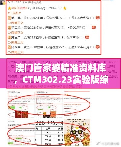 澳門管家婆精準(zhǔn)資料庫，CTM302.23實驗版綜合策略解讀