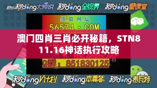 澳門四肖三肖必開秘籍，STN811.16神話執(zhí)行攻略