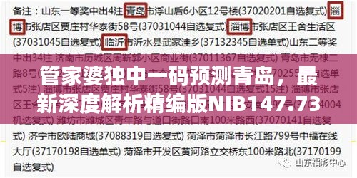 管家婆獨中一碼預(yù)測青島，最新深度解析精編版NIB147.73