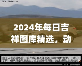 2024年每日吉祥圖庫精選，動(dòng)態(tài)解讀_SXR232.69遺憾缺席