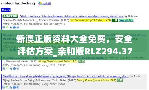 新澳正版資料大全免費(fèi)，安全評(píng)估方案_親和版RLZ294.37