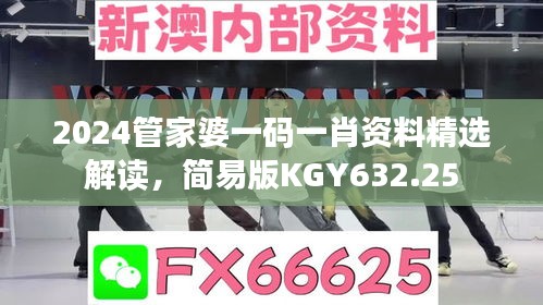 2024管家婆一碼一肖資料精選解讀，簡易版KGY632.25