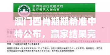 澳門四肖期期精準中特公布，贏家結果亮相_新手教程FAG989.56