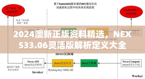 2024澳新正版資料精選，NEX533.06靈活版解析定義大全