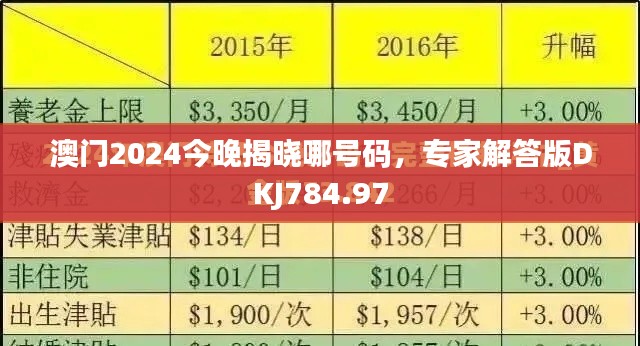 澳門2024今晚揭曉哪號碼，專家解答版DKJ784.97