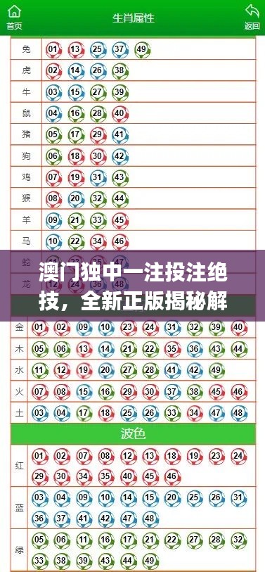 澳門獨中一注投注絕技，全新正版揭秘解析_GBL206.5通用版